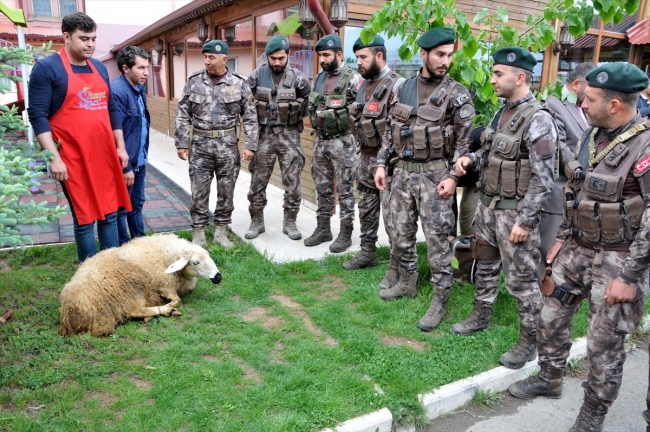 Afrin’e uğurlanan kahramanlar Sivas’a döndü